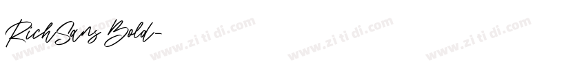 RichSans Bold字体转换